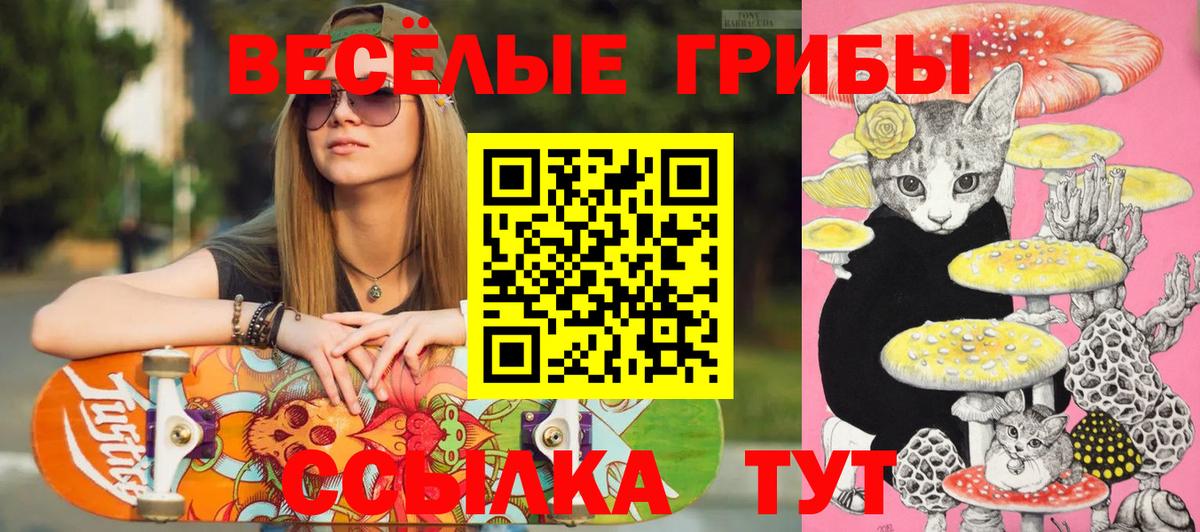 Псилоцибиновые грибы мухоморы  что такое   Североморск 