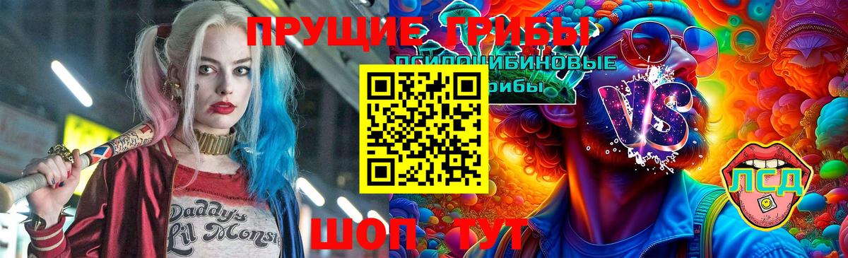 Псилоцибиновые грибы GOLDEN TEACHER Североморск