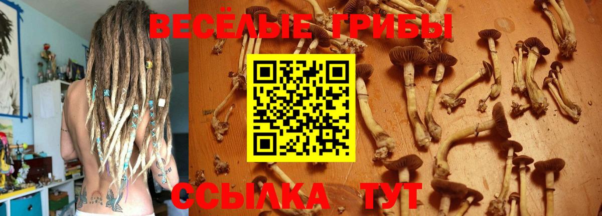 Галлюциногенные грибы Cubensis  Вход с VPN  Галлюциногенные грибы GOLDEN TEACHER  наркотики  Североморск 