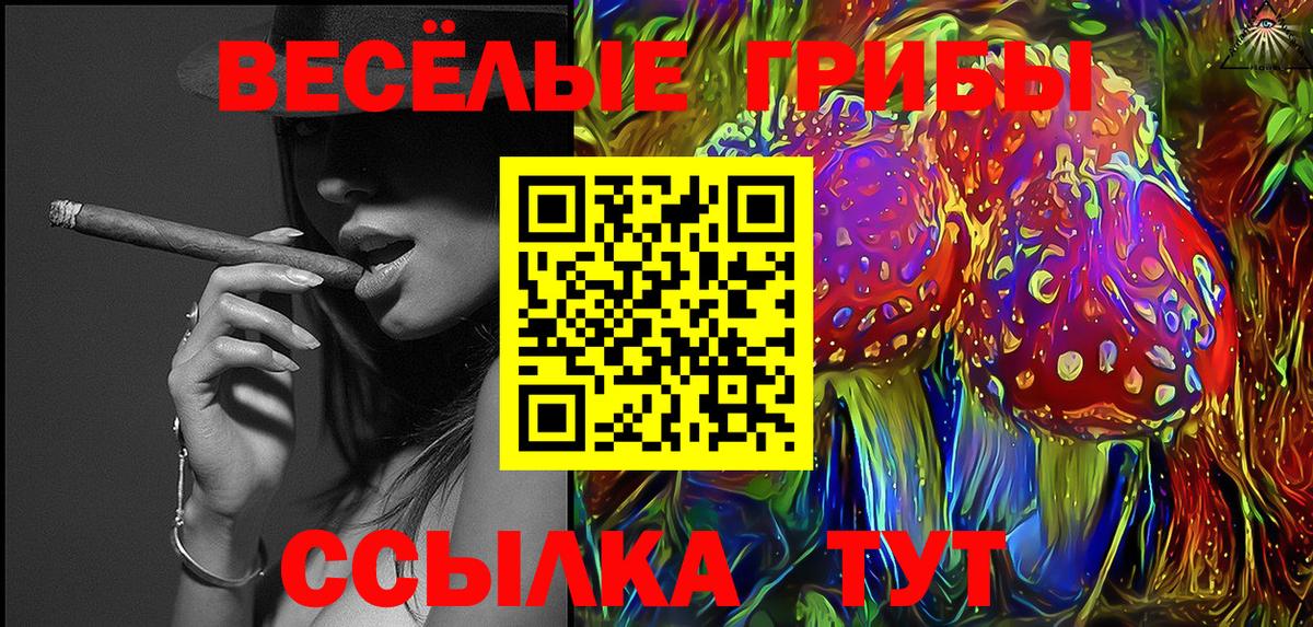 Псилоцибиновые грибы Psilocybe Североморск